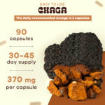 Chaga - Image 4