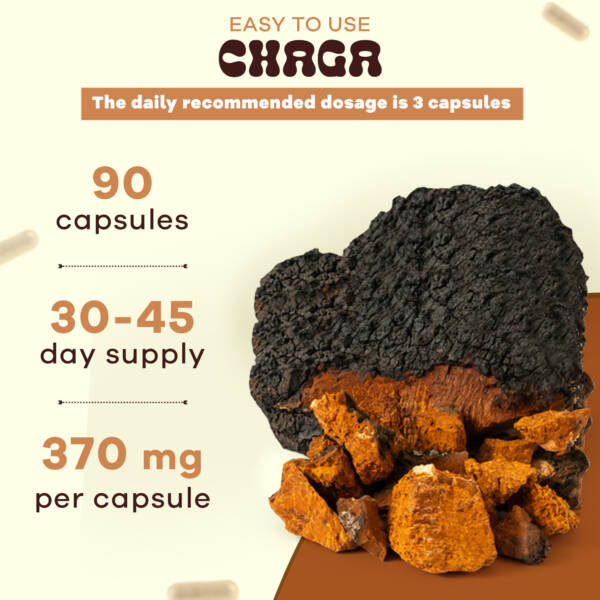 Chaga - Image 4