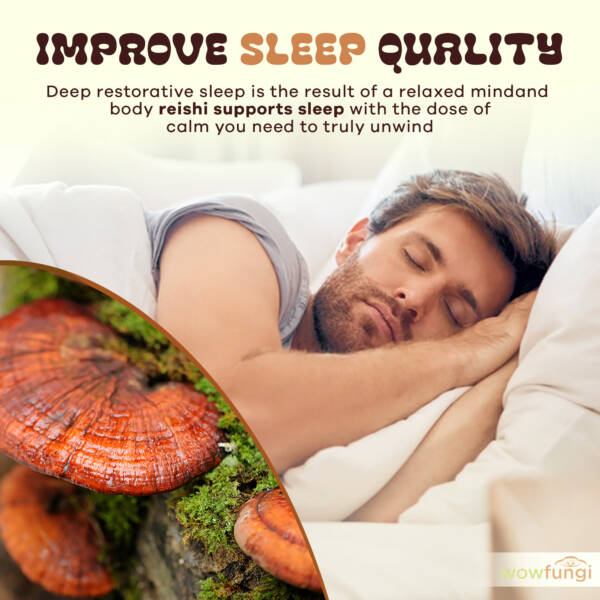 Reishi - Image 3