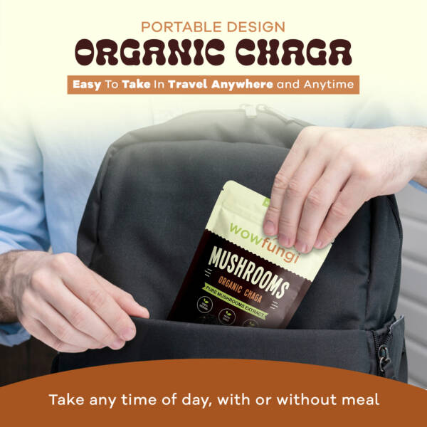 Chaga - Image 6