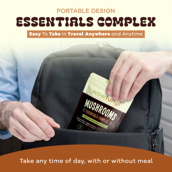 Essentials Complex - Image 4