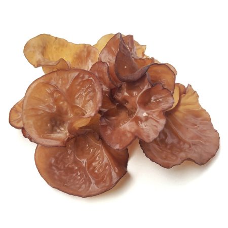 Jelly Ear Fungus or Auricularia auricula-judae isolated on white background with high angle view, Vegetarian cuisine, Food ingredient